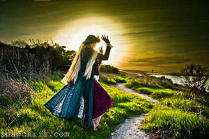 会员中心快速的ddos网页端源码