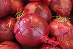 ip攻击器网页版ddos