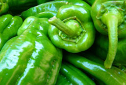 小黑ddos压力测试平台